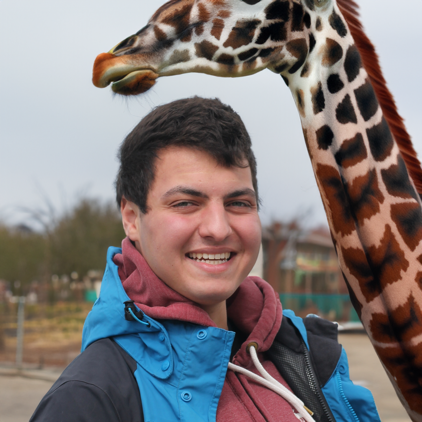 AStA der THM | Martin Hillen Giraffe